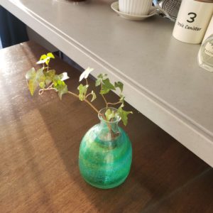 お部屋に置きたい おすすめのおしゃれな観葉植物 Geena ジーナ